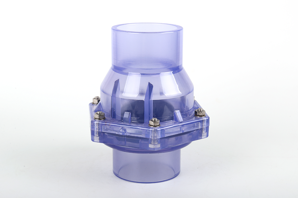 贵南透明翻板式止回阀